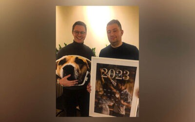 deinlieblingskissen.de